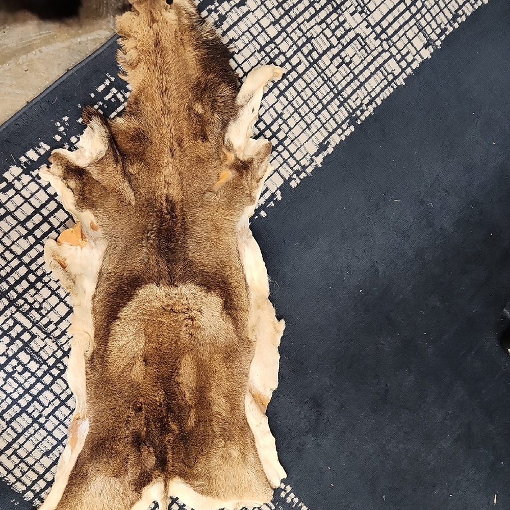 Natural Animal Hide Rug